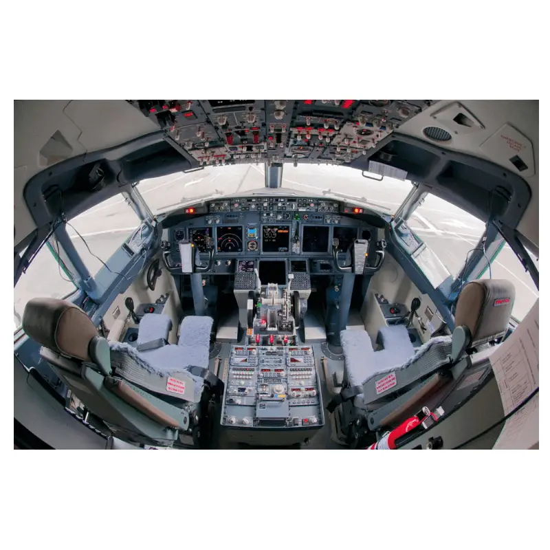 B 737-800 Cockpit Photo 