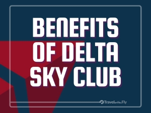 What are the benefits of delta sky club?