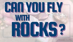 Can You Bring Rocks on a Plane? (TSA’s Rules 2022)