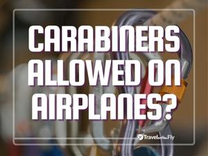 Can I bring my carabiners on the plane with me? 