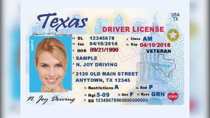 international driving license texas