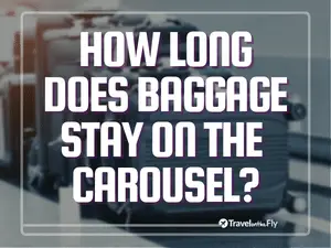 How Long Does Baggage Stay on the Airport Luggage Carousel