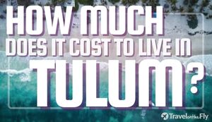 Graphic image of a beach - How Much does it cost to live in Tulum Mexico?