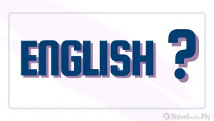 How would you describe your English level?