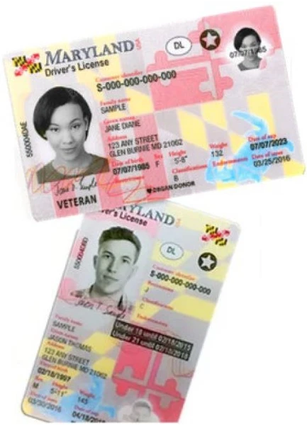 licenses Maryland REAL ID star on drivers license