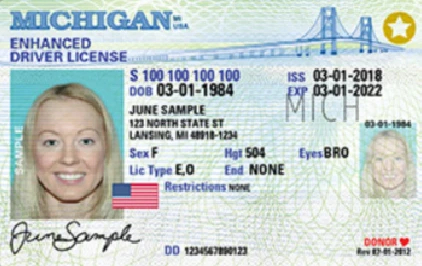 michigan star on driver's license