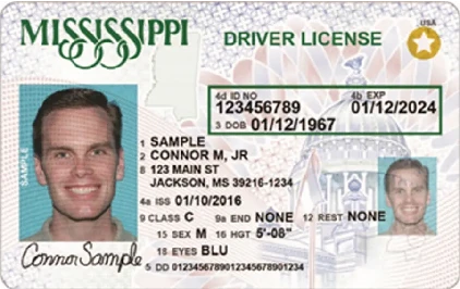 Mississippi driver's license with a gold star on it. REAL ID compliant driver's license