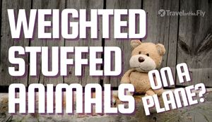 Can You Bring Weighted Stuffed Animals On A Plane? (TSA’s Rules)