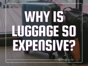 Why is luggage so expensive? 