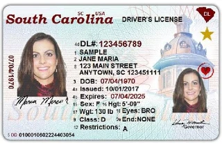 South Carolina Driver's License with a gold star on it REAL ID