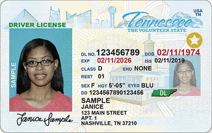 woman's drivers license Tennessee gold star on it